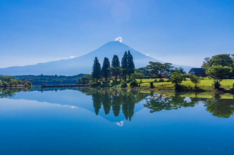 Camp site stay image 1