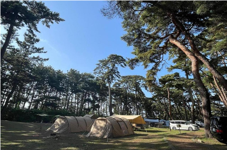 Camp site stay image 1