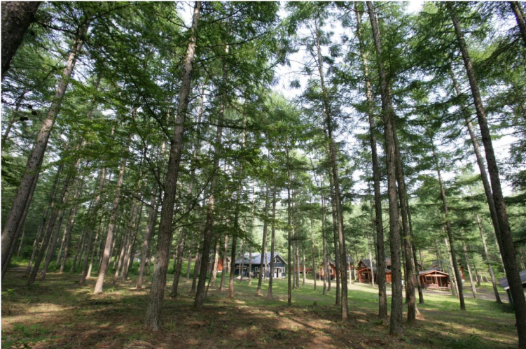 Camp site stay image 2